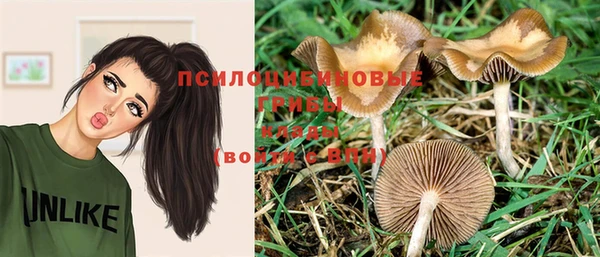 мефедрон Елизово